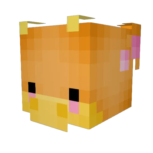 WishBubbles Minecraft avatar head, 3D render