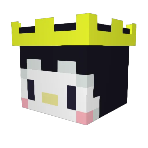 WishMC24 Minecraft avatar head, 3D render