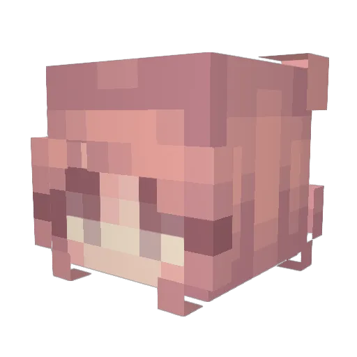 WishUpon Minecraft avatar head, 3D render