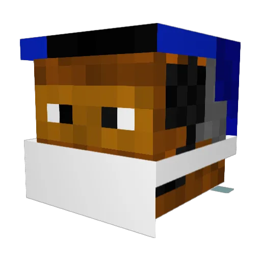 Wish_Command Minecraft avatar head, 3D render