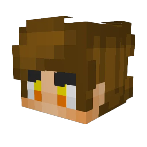 Wished1213 Minecraft avatar head, 3D render