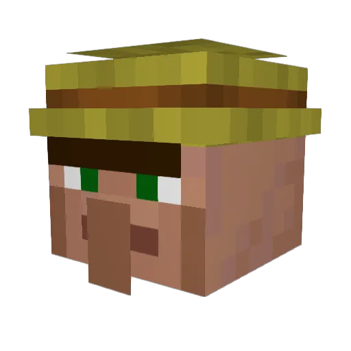 WishedThunder14 Minecraft avatar head, 3D render