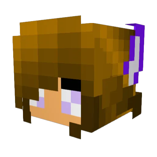 WisherWolf Minecraft avatar head, 3D render