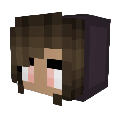 Wishexe Minecraft avatar head, 3D render