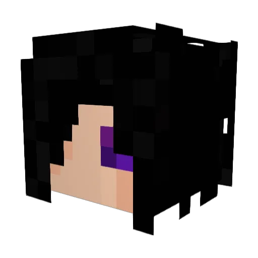 Wishmaster985 Minecraft avatar head, 3D render