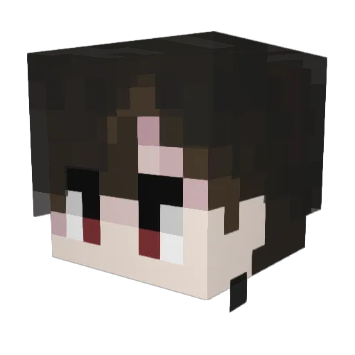 Wishmmy Minecraft avatar head, 3D render