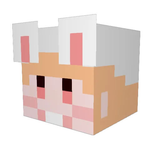 Wishope99 Minecraft avatar head, 3D render