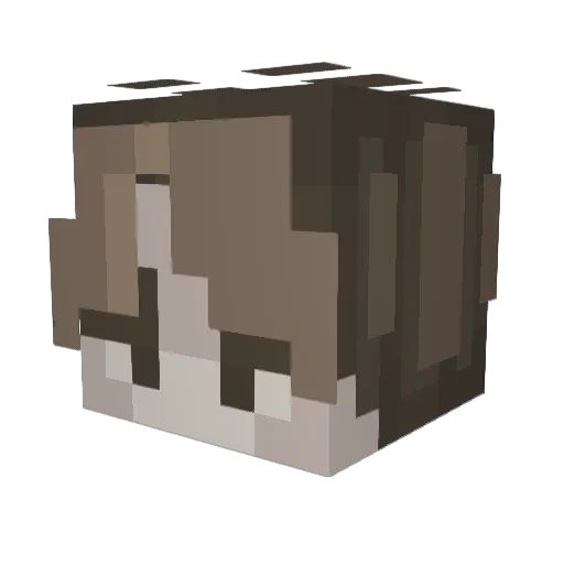 Wisp12 Minecraft avatar head, 3D render