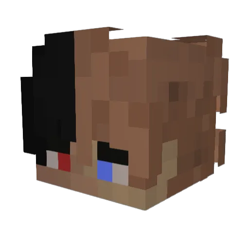 WispUnknown Minecraft avatar head, 3D render