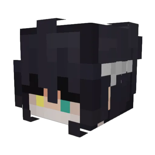 Wispyflea64 Minecraft avatar head, 3D render
