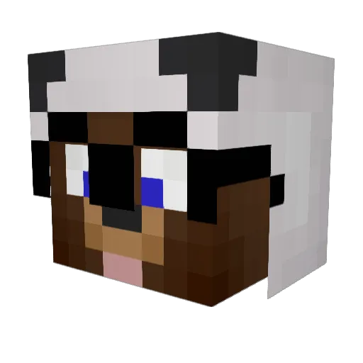 Wisse Minecraft avatar head, 3D render