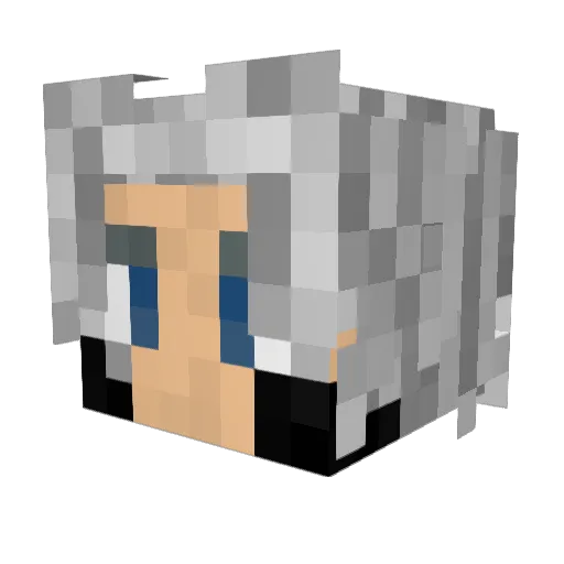 Wisx_ Minecraft avatar head, 3D render