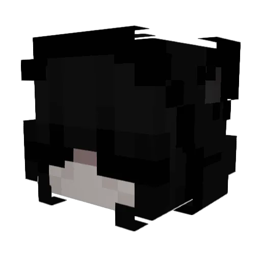 Witam_Fani Minecraft avatar head, 3D render