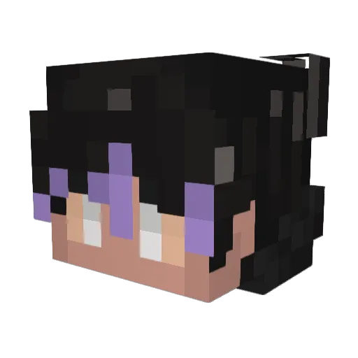 WitchCraft03465 Minecraft avatar head, 3D render