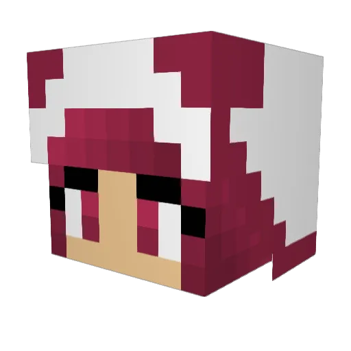 WitchEvie Minecraft avatar head, 3D render