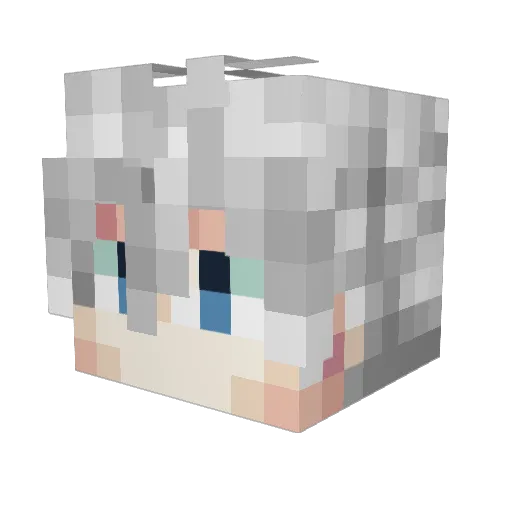 Witche007 Minecraft avatar head, 3D render