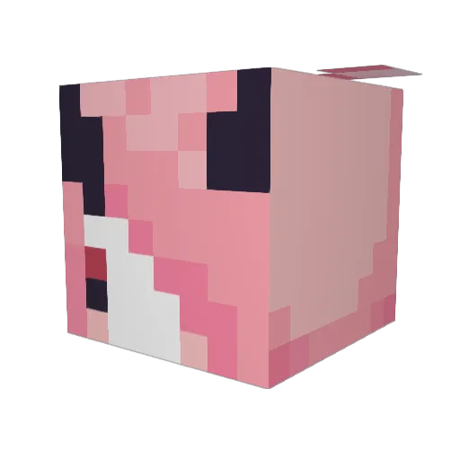 WitchesCastle Minecraft avatar head, 3D render
