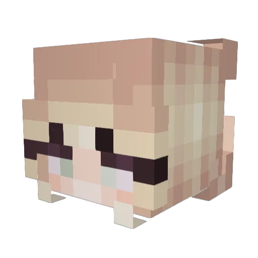 Witches_WisdomYT Minecraft avatar head, 3D render