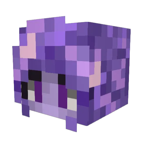 Witchiesilli Minecraft avatar head, 3D render