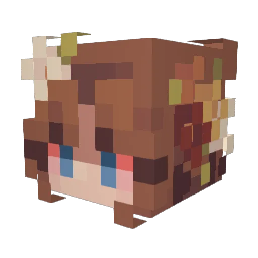 WitchxGirl Minecraft avatar head, 3D render