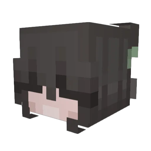 Witchy05 Minecraft avatar head, 3D render