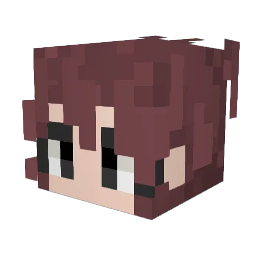 Witchy450 Minecraft avatar head, 3D render