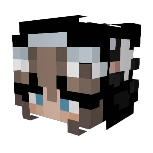 Witchy_Cat17 Minecraft avatar head, 3D render