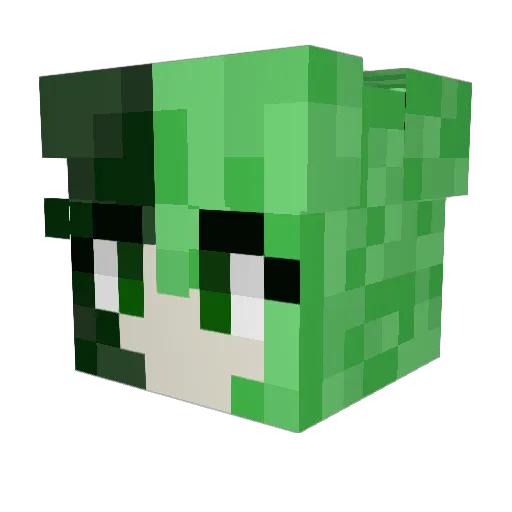 Witchy_Danni Minecraft avatar head, 3D render