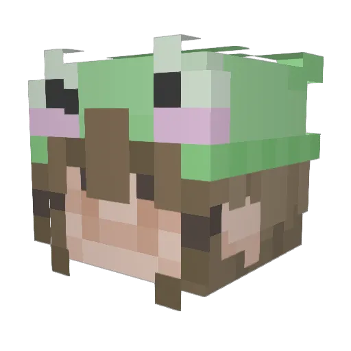 Witchy_Fantom Minecraft avatar head, 3D render