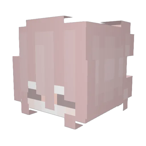 Witchy_Princess Minecraft avatar head, 3D render