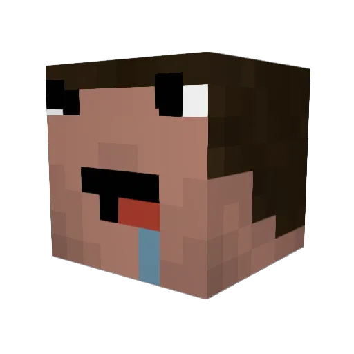 Witerally1shot Minecraft avatar head, 3D render