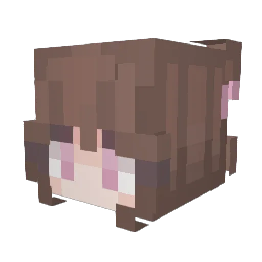 WithPain Minecraft avatar head, 3D render