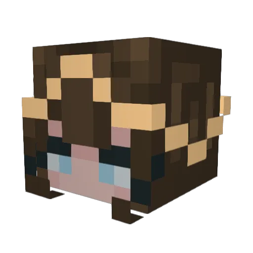 WithdrawnDawn Minecraft avatar head, 3D render