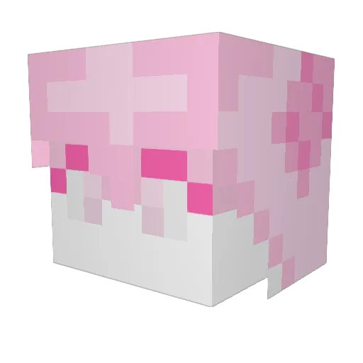 Wither062 Minecraft avatar head, 3D render