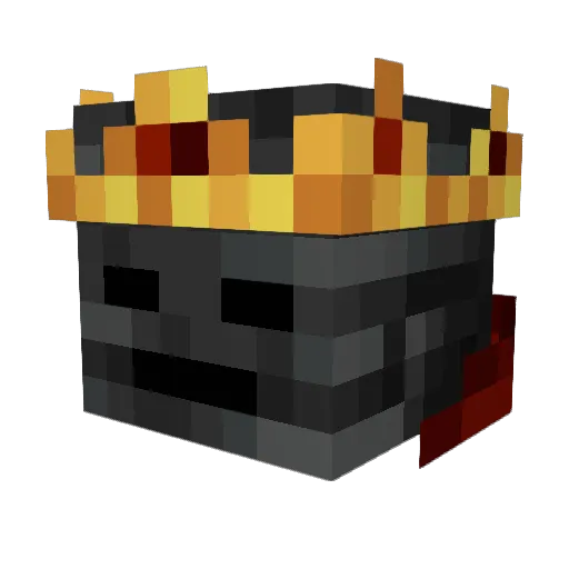 Wither4th Minecraft avatar head, 3D render