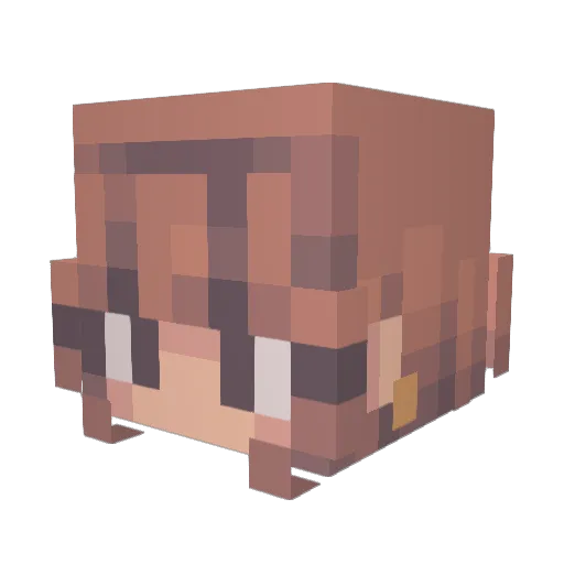 Minecraft-Avatar von Wither917: Kopf als 3D-Render