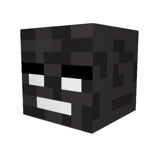 WitherBuster500 Minecraft avatar head, 3D render