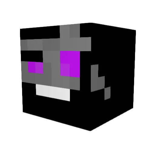 WitherCraft80 Minecraft avatar head, 3D render