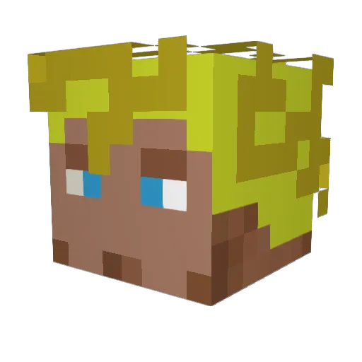 WitherDan Minecraft avatar head, 3D render
