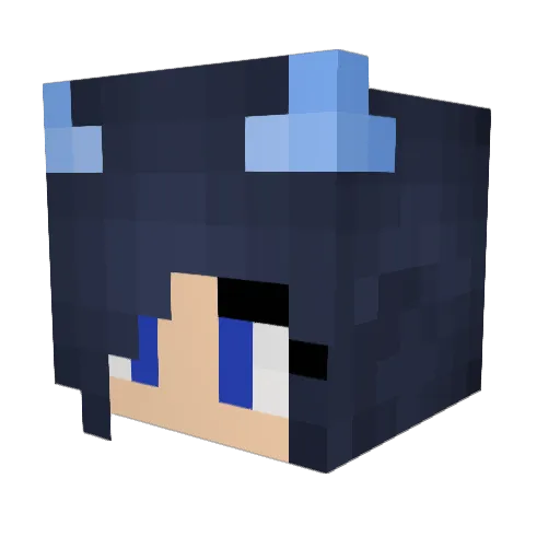 WitherLeopard12 Minecraft avatar head, 3D render