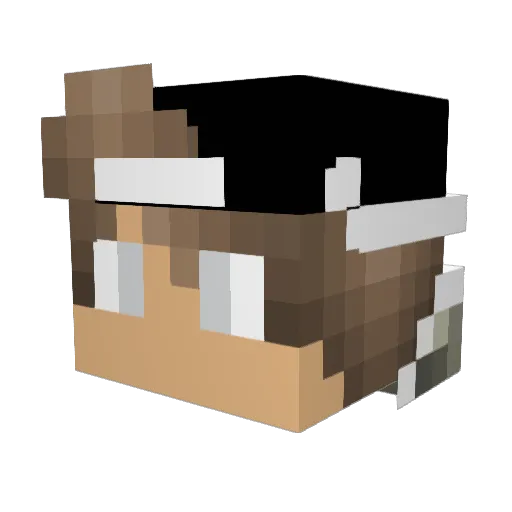 WitherSkelly224 Minecraft avatar head, 3D render