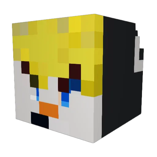 Wither_BLIZZARD Minecraft avatar head, 3D render