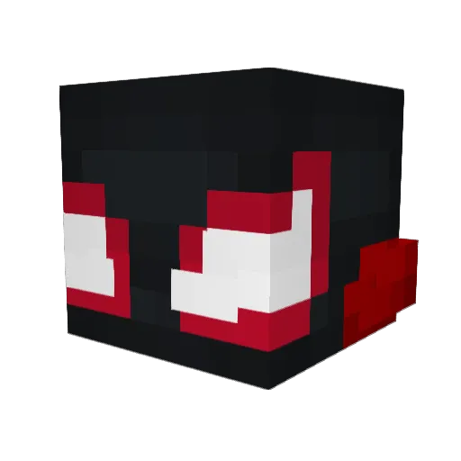 Wither_Idiot Minecraft avatar head, 3D render