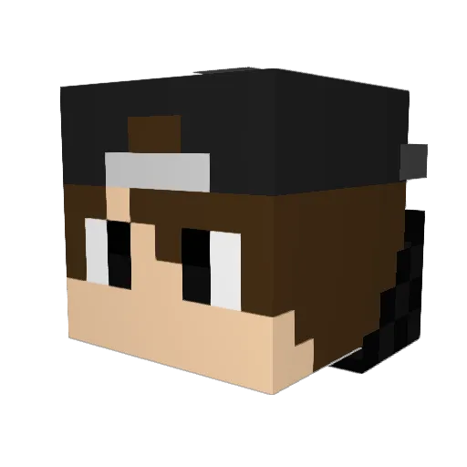 Wither_OWO Minecraft avatar head, 3D render
