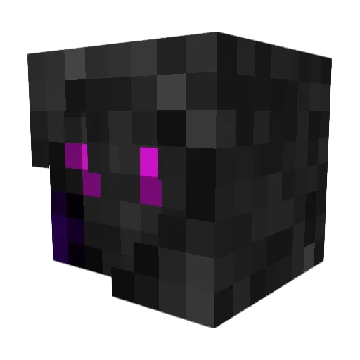 Witherbuster08 Minecraft avatar head, 3D render