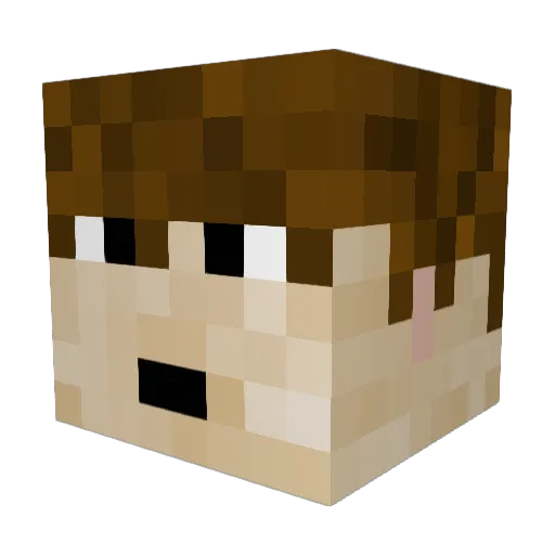 WitheredHen32 Minecraft avatar head, 3D render