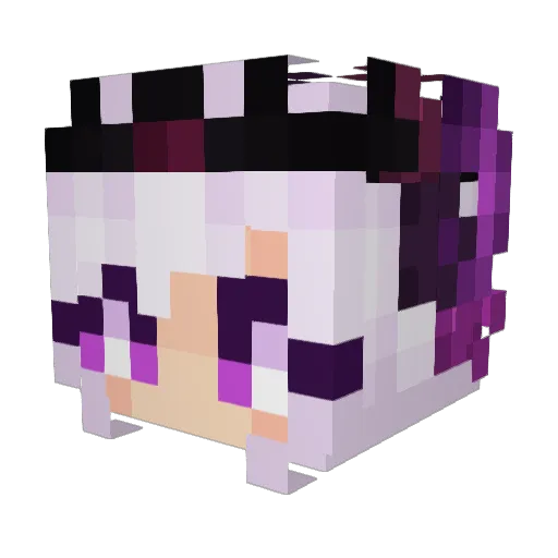 WitheredRoses Minecraft avatar head, 3D render
