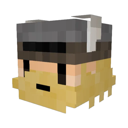 Withering_Wizard Minecraft avatar head, 3D render