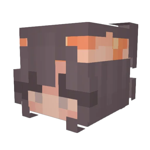 Witheringg_ Minecraft avatar head, 3D render