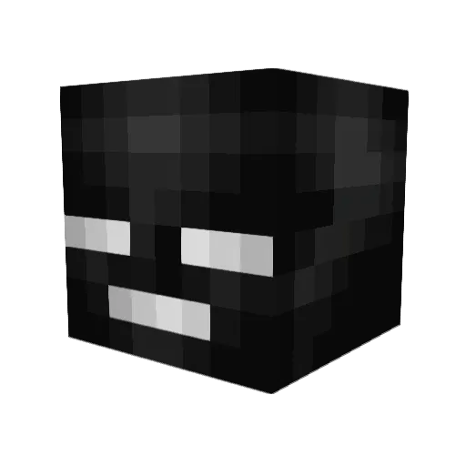 WitherionYT Minecraft avatar head, 3D render